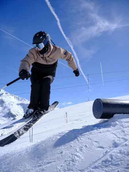 Pánská zimní lyžařská bunda Dare2b FREERIDE černá/béžová (8)